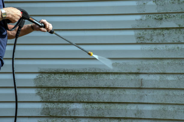 Best Patio and Deck Pressure Washing  in East Marion, NY